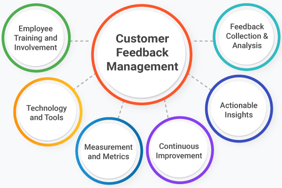 Continuous Improvement through User Feedback and Analytics